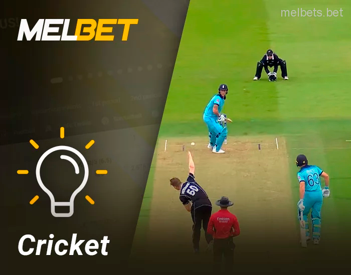 Tips for betting on cricket matches at Melbet