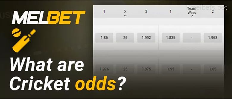Melbet Cricket Odds